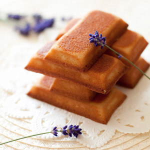 writer フィナンシェ西沢