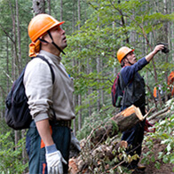 環境・森林保全