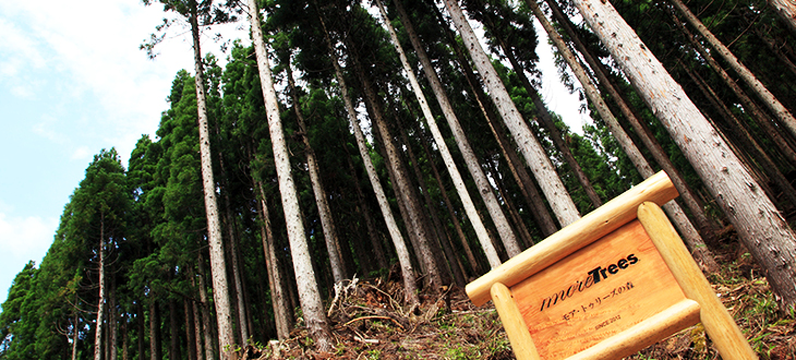 【洋服で森林保全】ユナイテッドアローズで買い物するだけで、ほんの少しだけ、森や地球を守れるかもしれない。