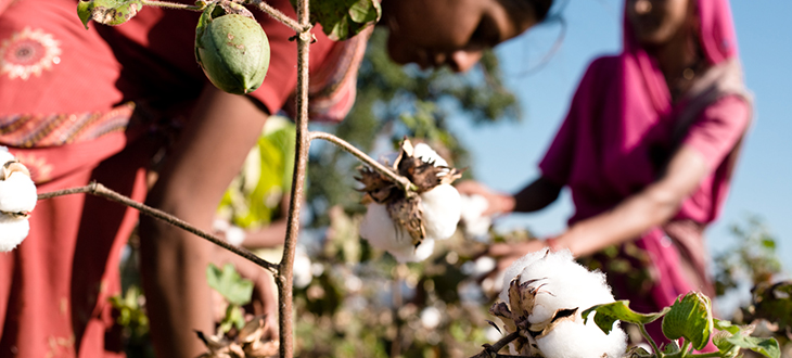 【プレオーガニックコットン by URBAN RESEARCH】代々木VILLAGEで見つけた新しいライフスタイル。きもちいいコットンを着て、近所に散歩に出かけよう！