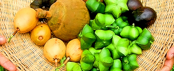 【話題のオメガ3インカインチオイル】天然ビタミンEの抗酸化オイルで、若々しいカラダをつくろう！