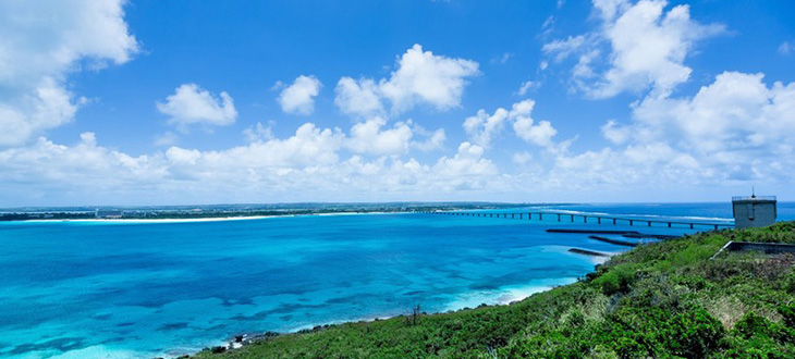【キャンペーン期間は8/31まで！】今 コーセーの雪肌精を買うと、美しい沖縄サンゴ礁のサンゴが広がる！プロジェクトに簡単に参加できる2つの方法