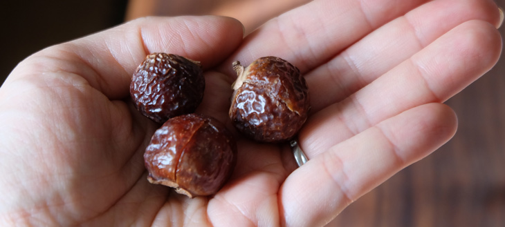 【使ってみた】肌にも地球にもやさしい、木の実そのままで洗う究極のエコ洗剤